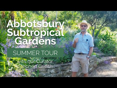Video: Chi possiede i giardini subtropicali di abbotsbury?