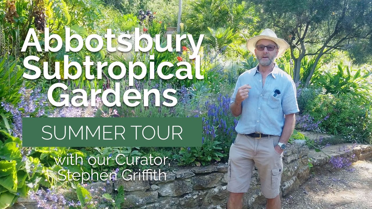 Summer Tour of Abbotsbury Subtropical Gardens - plants that thrive in hot dry conditions
