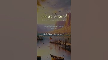 قرآن كريم بصوت جميل جدا #قرآن #قرآن_كريم #اكسبلور