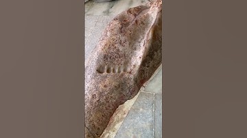 Real Krishna Ji’s 🦶🏻Footprints | Fisalni Shila | Charan Pahadi | #radhakrishna #krishna