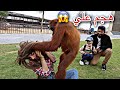 رحنا على حديقة حيوانات || هجم عليها قرد😰