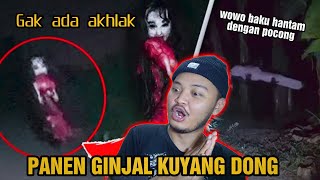 Kuyang dikasih obat tidur dan genderuwo baku hantam sama pocong [ Ghosthunter bar bar ]