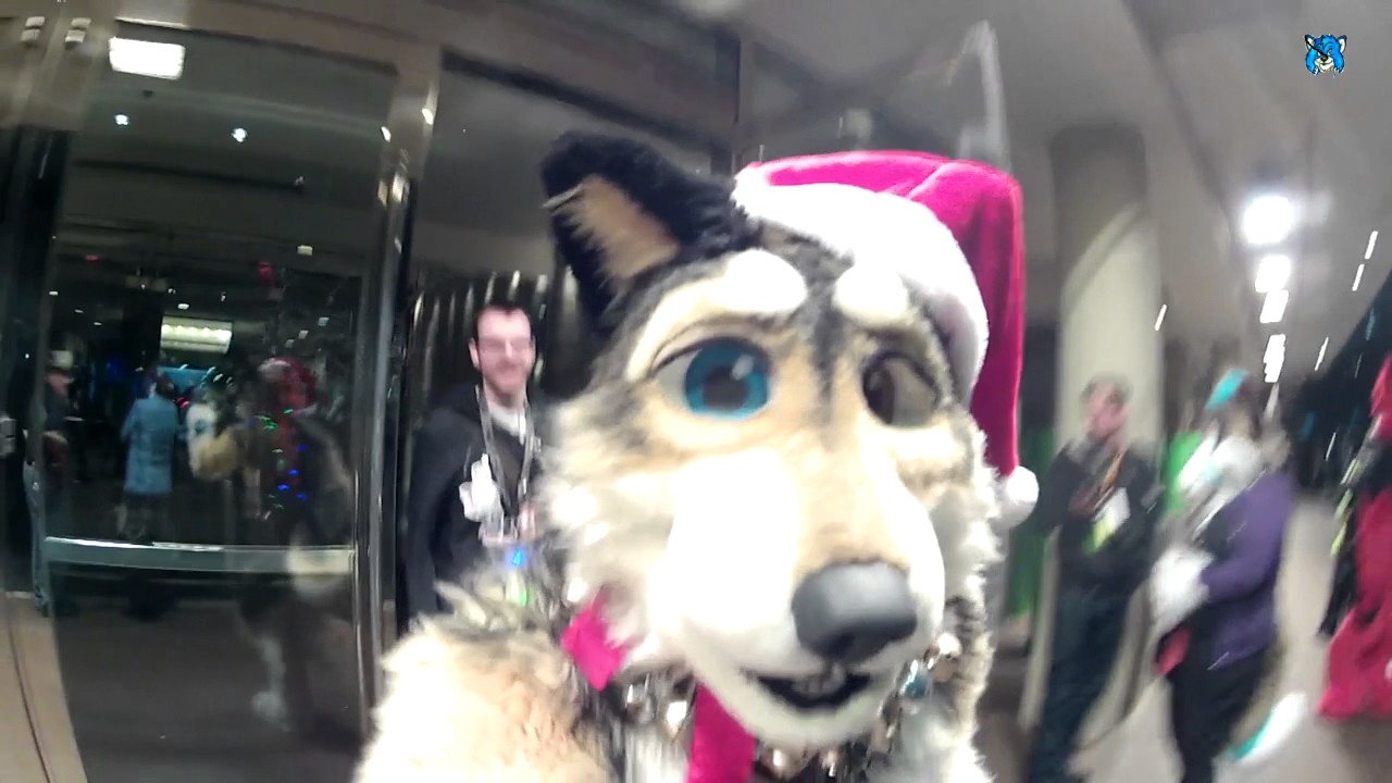 Midwest Furfest 2016 Hotel Running Tour YouTube