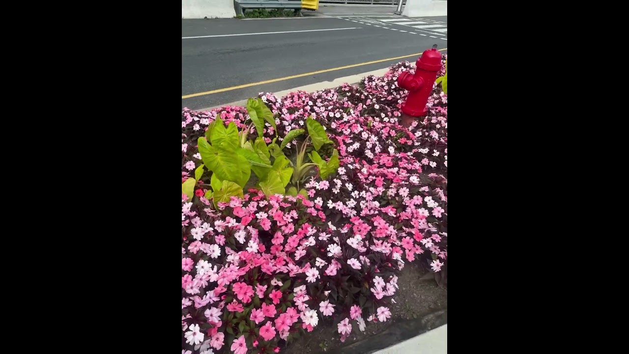 Gods greatest creation                     