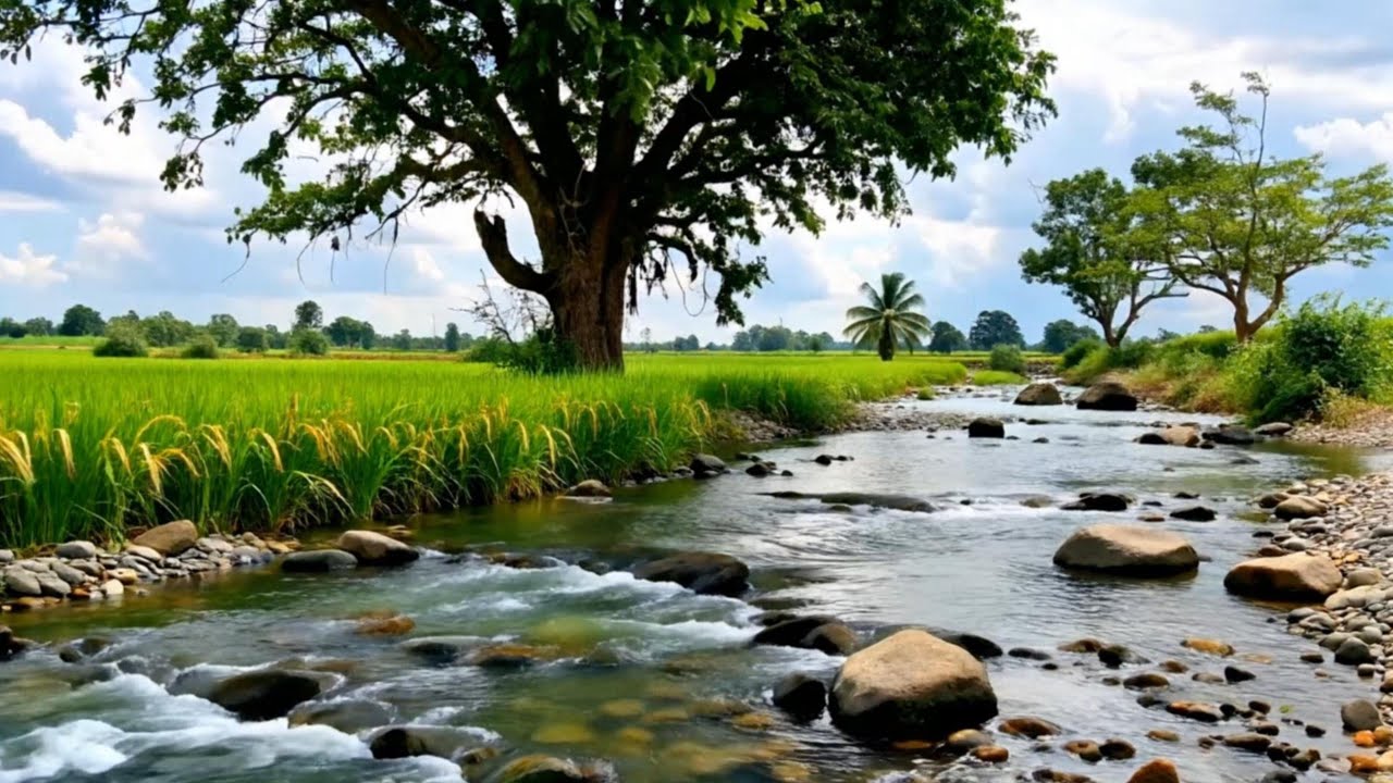 Fall Asleep Fast 😴 ASMR Water Sounds