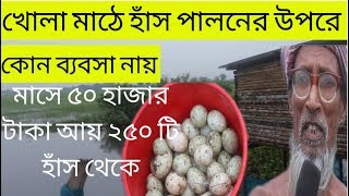 খোলা মাঠে হাঁস পালনের উপরে লাভজনক কোন ব্যবসা নায়,২৫০ হাঁস থেকেই আয় হয় ৫০ হাজার টাকা।duck farm