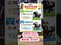 競馬予想 8/29.30 #中央競馬予想 #jra #競馬 #競馬初心者