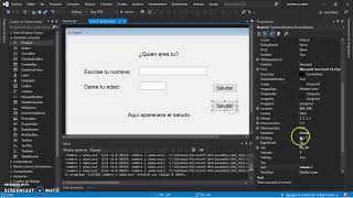 Basic programming with Visual Basic 2019. Ask for my name and age and say hello.