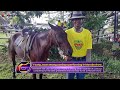 Young Jason among cowboys performing in Morobe show.