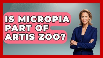 Is Micropia Part Of Artis Zoo? - Exploring The Benelux
