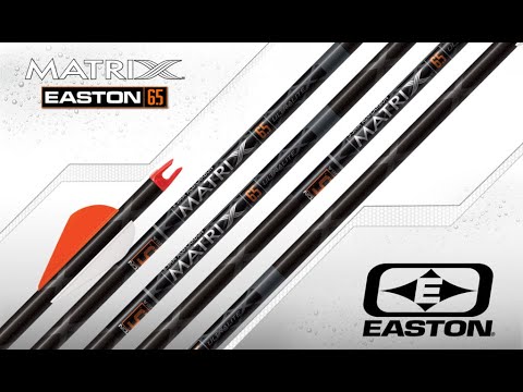 Video: ¿Easton compró Beman?