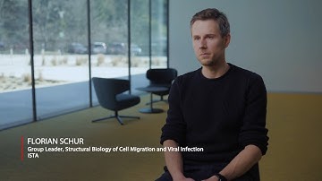 Virology Using Cryo-EM at the Institute of Science and Technology Austria