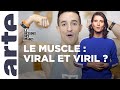 Tibo inshape  le business du muscle  le dessous des images  arte