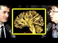 The magic of the human brain | Lisa Feldman Barrett and Lex Fridman