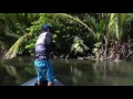 Papuan Spottail Bass fishing with "MARS Kayu 71RFX"by Gong Lei