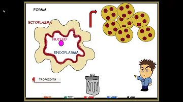 Qual é a forma de locomoção do protozoário Entamoeba histolytica?