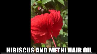 Ayurvedic Hibiscus & Methi hair oil | Herbal Hibiscus hair oil for hair growth and prevent baldness