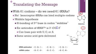 185-Translating the Message