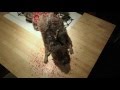 Zombeavers 2014  for your consideration trailer 1080p