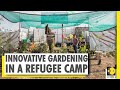 Your Story: Syrian refugees learn a new way of farming | World News