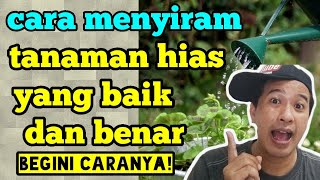 cara menyiram tanaman yang baik dan benar