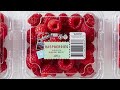 Introducing perfection raspberries  perfection fresh australia
