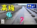 【水辺潜入】護岸ブロックの潮だまりにまさかの高級魚？？？