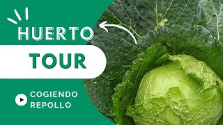 Huerto Tour Por El Bierzo Le Quito Un Repollo A Mi Tío
