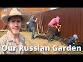 Russian home garden update