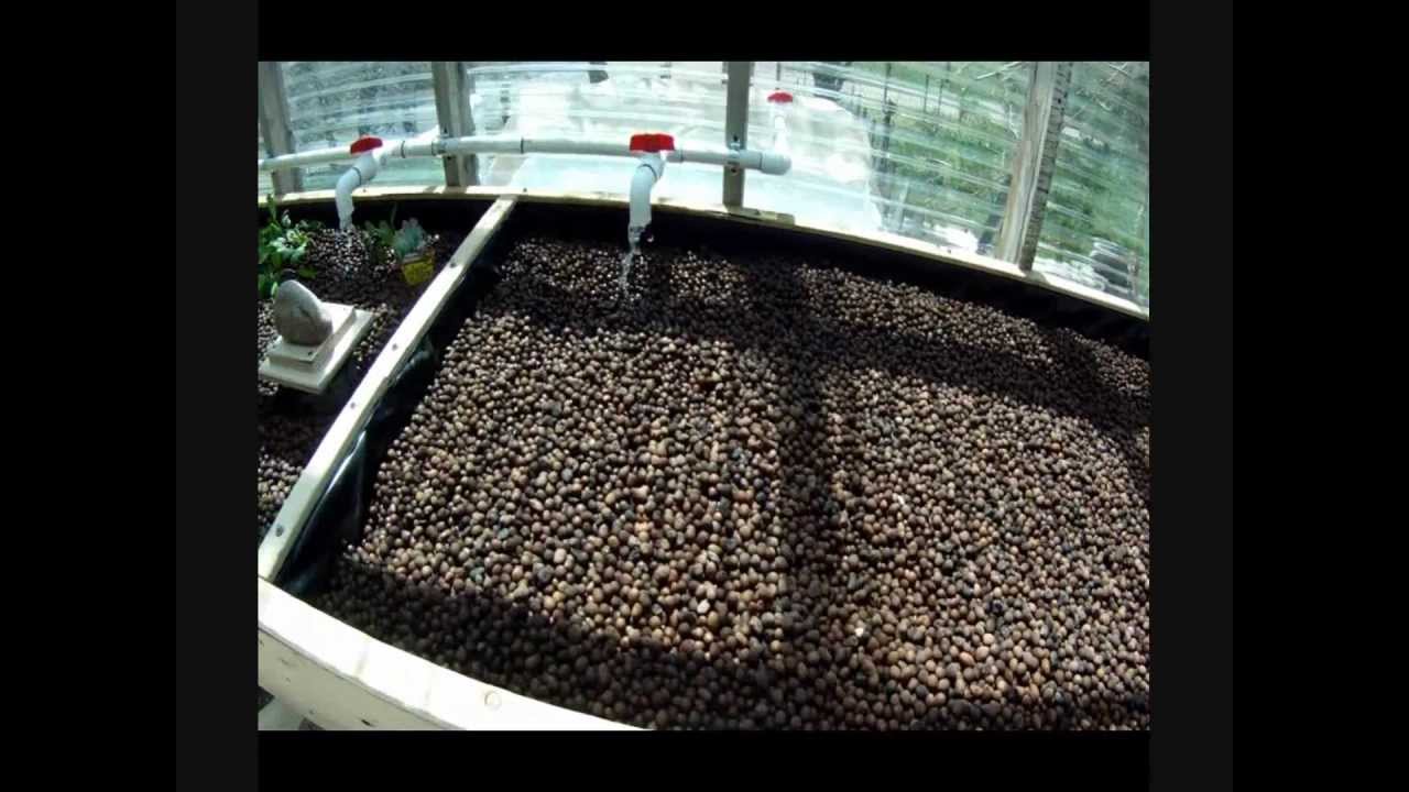 aquaponics part 3. - youtube