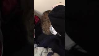 馬馬 2019101801