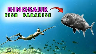 Saya Menangkap Ikan Dinosaurus dan Memasak Ikan Kecil untuk Dimakan