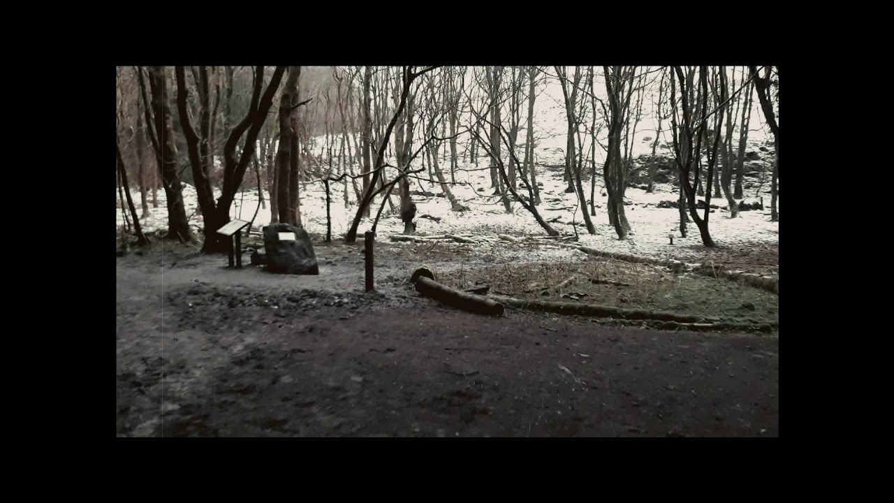 Dechmont Law Virtual Tour