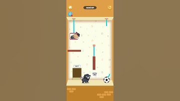 Rescue Kitten - Rope Puzzle Level 117 Walkthrough
