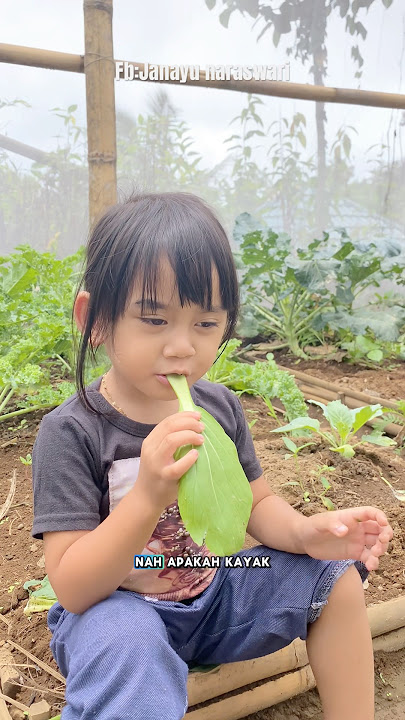Check the basket for plant fertility😍 #atthefootofthemountain #food #cookinginthevillage #cooking