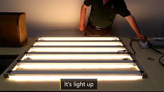 Redfarm Samsung Osram LED Grow Light with 2.7μmol/J efficacy
