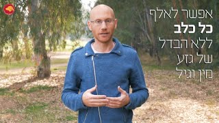 3 טעויות קריטיות שיובילו לבעיות התנהגות עם הכלב שלך