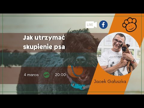 Wideo: Jak powstrzymać mojego psa od wycieu, kiedy wychodzę