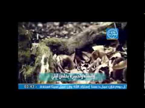 حصريا قصيدة صومي وصلاتي للمنشد زيدون الفاطمي 2014