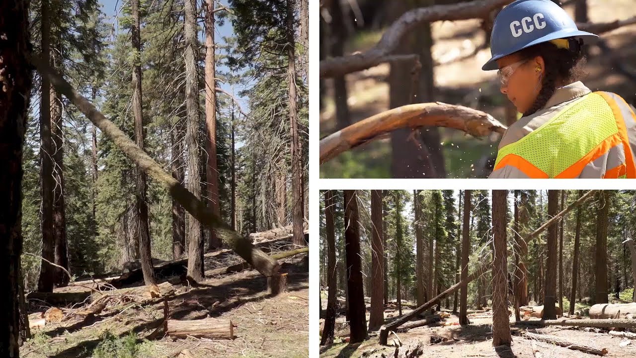 CCC Short Recruitment Ad - YouTube