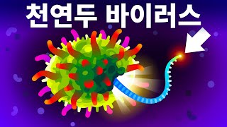 (두 번째로) 치명적인 바이러스