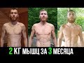 2 кг мышц за 3 месяца на сыроедении. Отчет #5