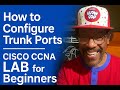 How to Configure Trunk Ports | Cisco CCNA LAB for Beginners