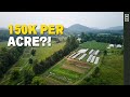 How much money can a small farm make lets talk numbers