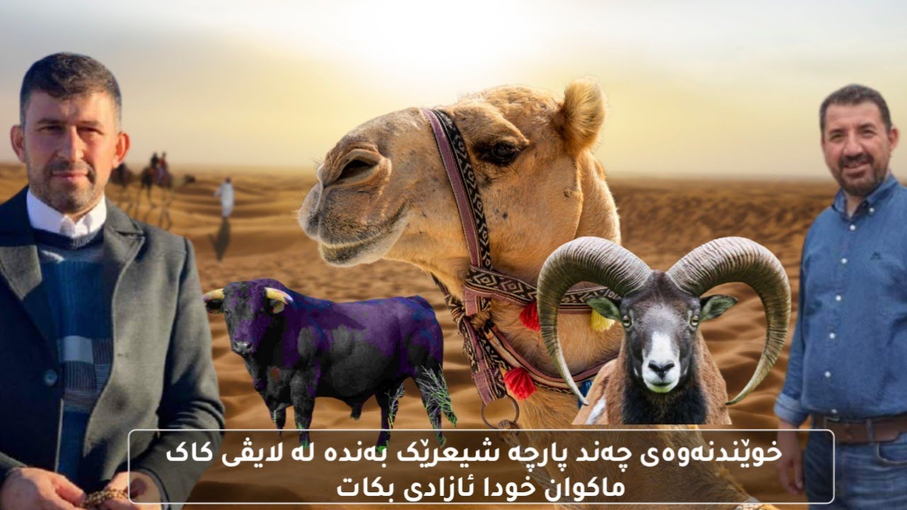 خوێندنەوەی شعر ، بەدەنگی مامۆستا هەردی یحیی لەگەڵ کاکە ماکوانی خۆشەویست خودا ئازادی بکات