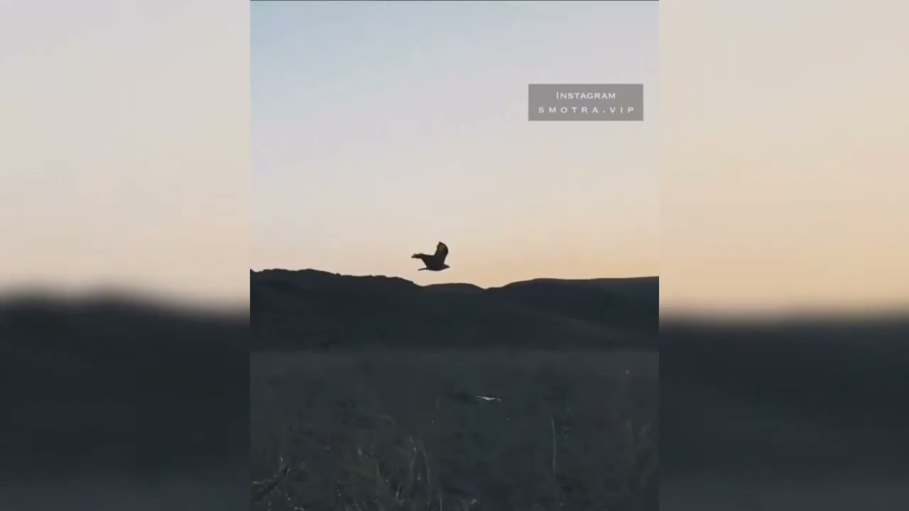 Free beat. Video by Morry. La1se beats.