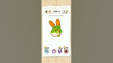 brain test level 41 where is my rabbit? solution
