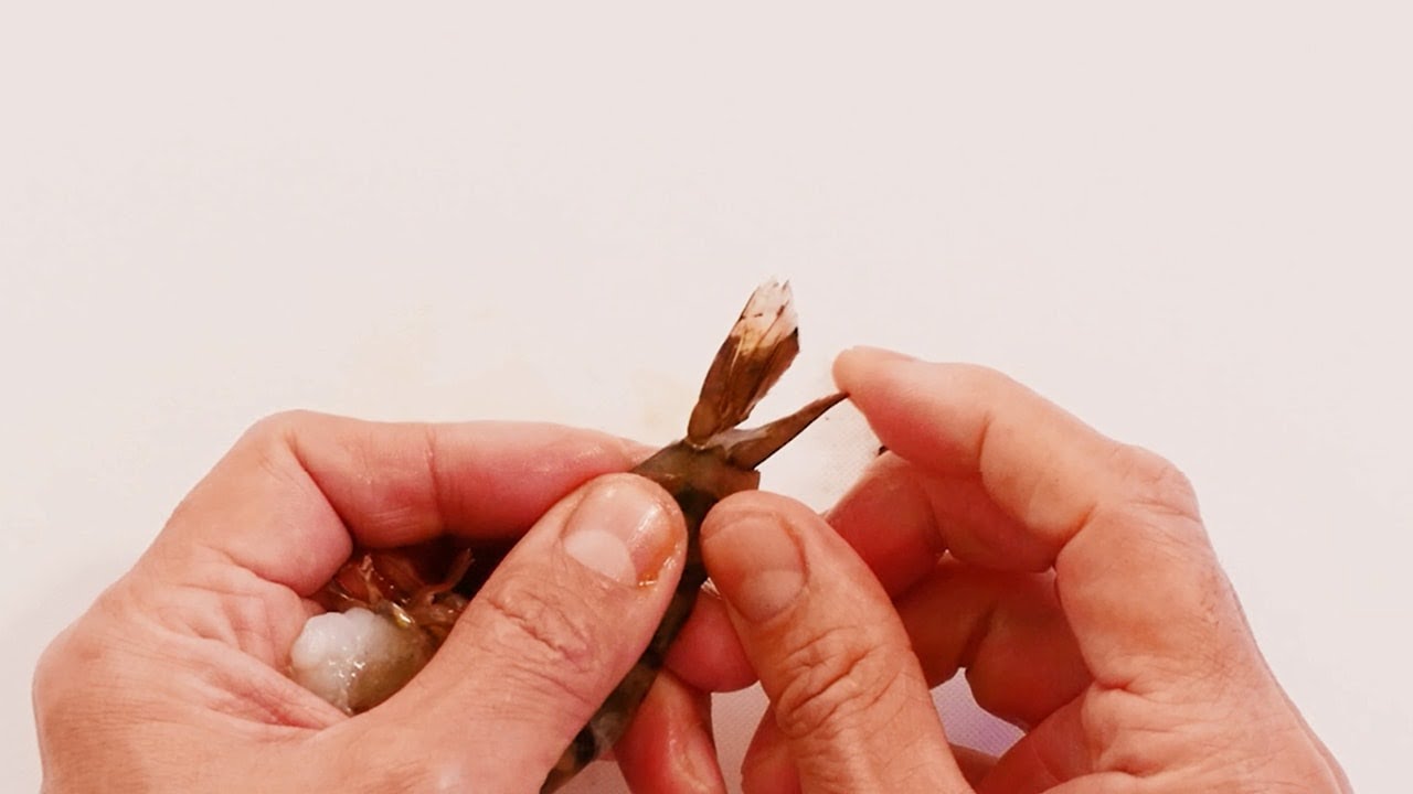 えびの下処理 天ぷら フライなど Youtube