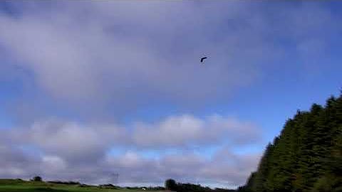 Fun with FPV31 Volume 2