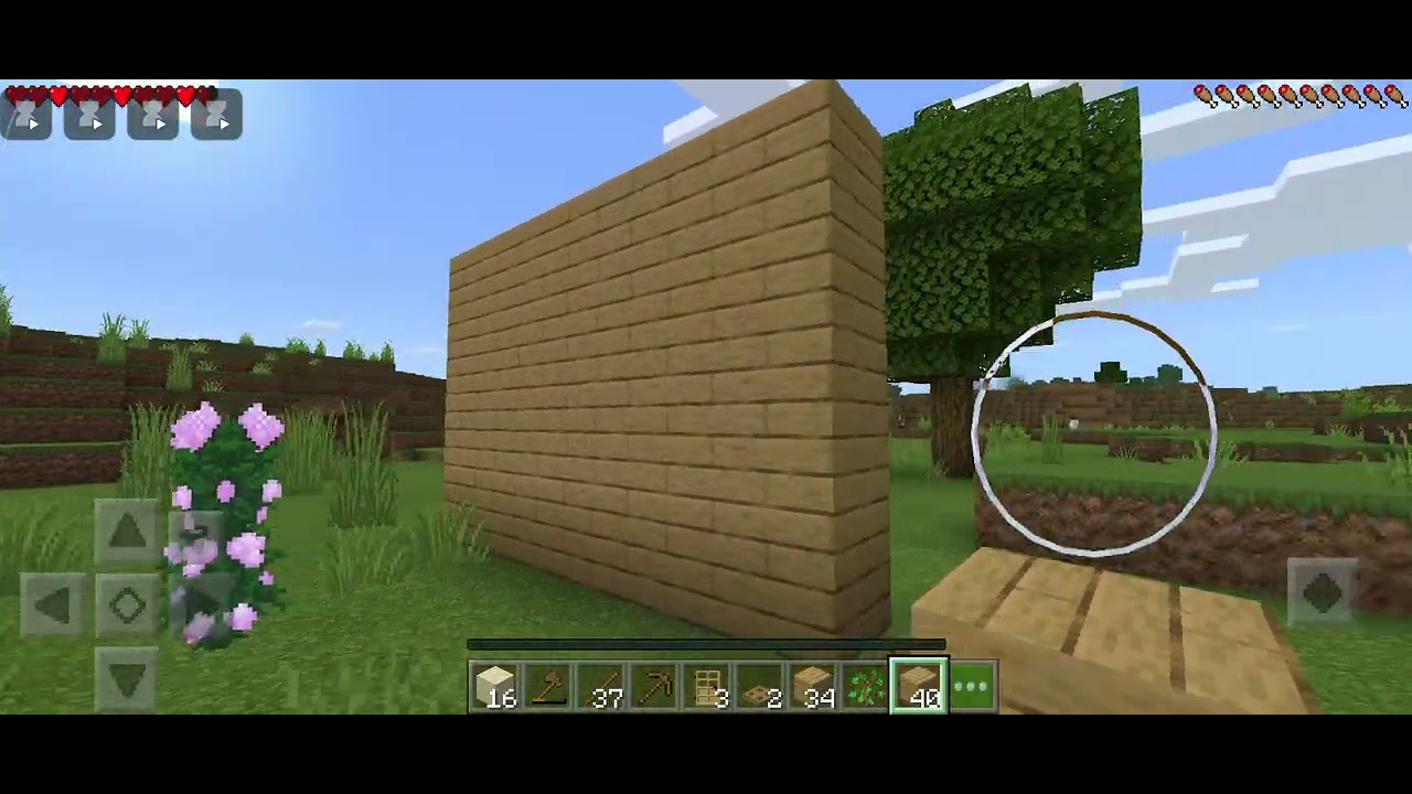 YENİ DÜNYA YENİ HAYAT( MİNECRAFT🏠) 